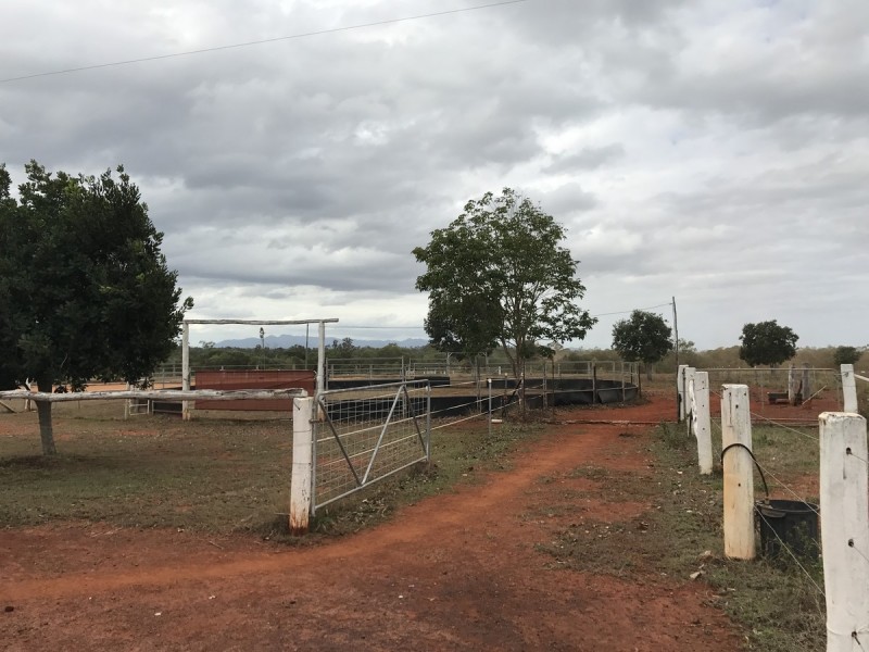 557 Hanschen’s Road, Jardine QLD 4702