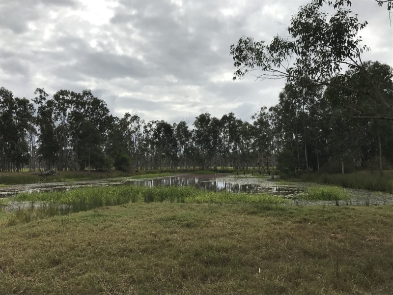 557 Hanschen’s Road, Jardine QLD 4702