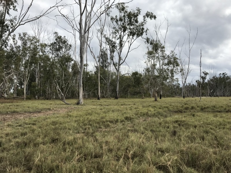 557 Hanschen’s Road, Jardine QLD 4702