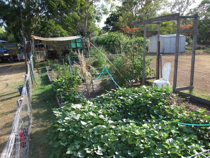 166 Elphinstone Street, Berserker QLD 4701