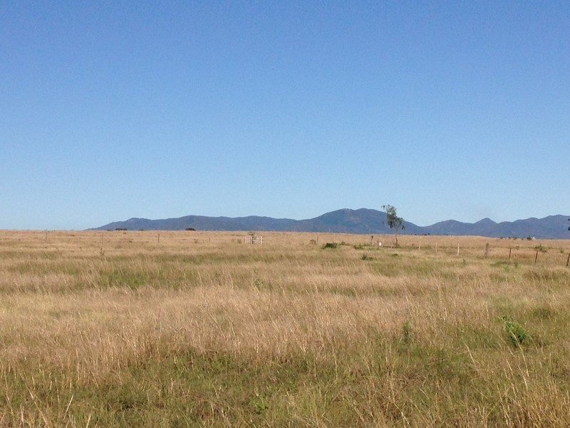 715 Laurel Bank Road, Alton Downs QLD 4702
