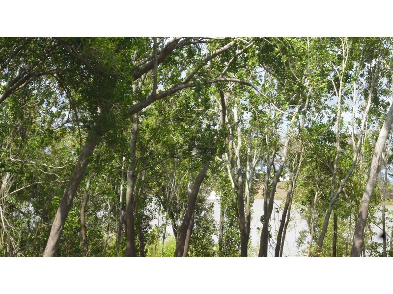 47 Emu Park Road, Lakes Creek QLD 4701