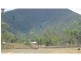 47 Emu Park Road, Lakes Creek QLD 4701