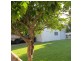 7 Penlington Street, The Range QLD 4700