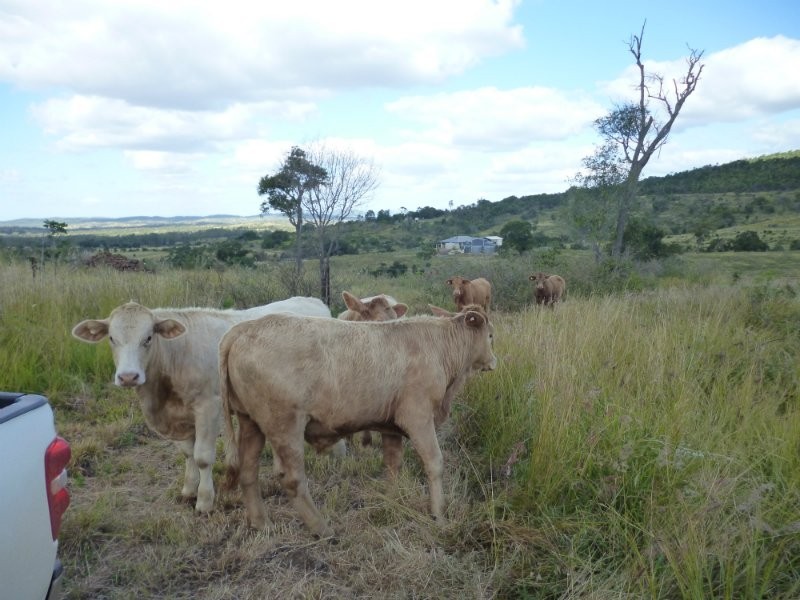 Dalma QLD 4702