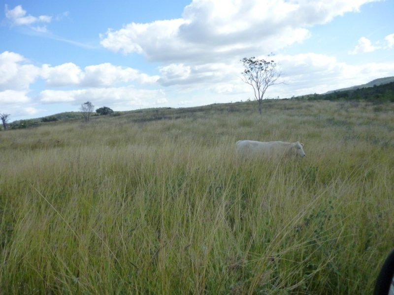 Dalma QLD 4702