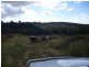 Dalma QLD 4702