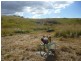 Dalma QLD 4702