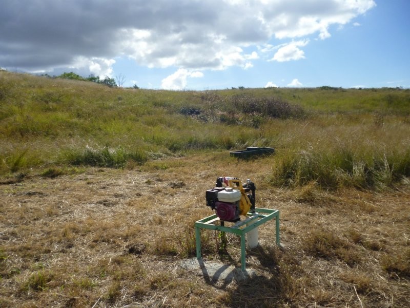 Dalma QLD 4702