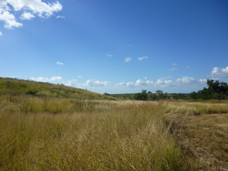Dalma QLD 4702