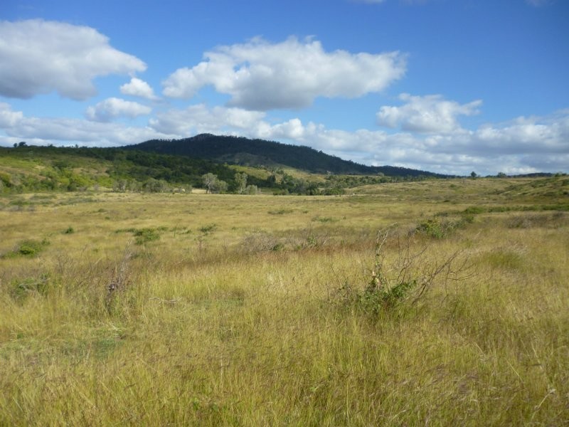 Dalma QLD 4702