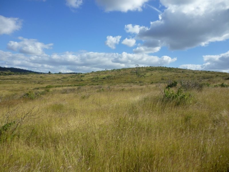 Dalma QLD 4702