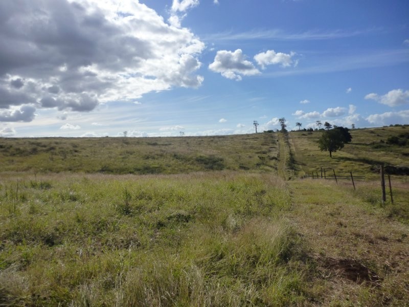 Dalma QLD 4702