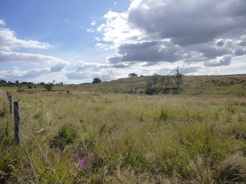 Dalma QLD 4702