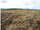 Dalma QLD 4702