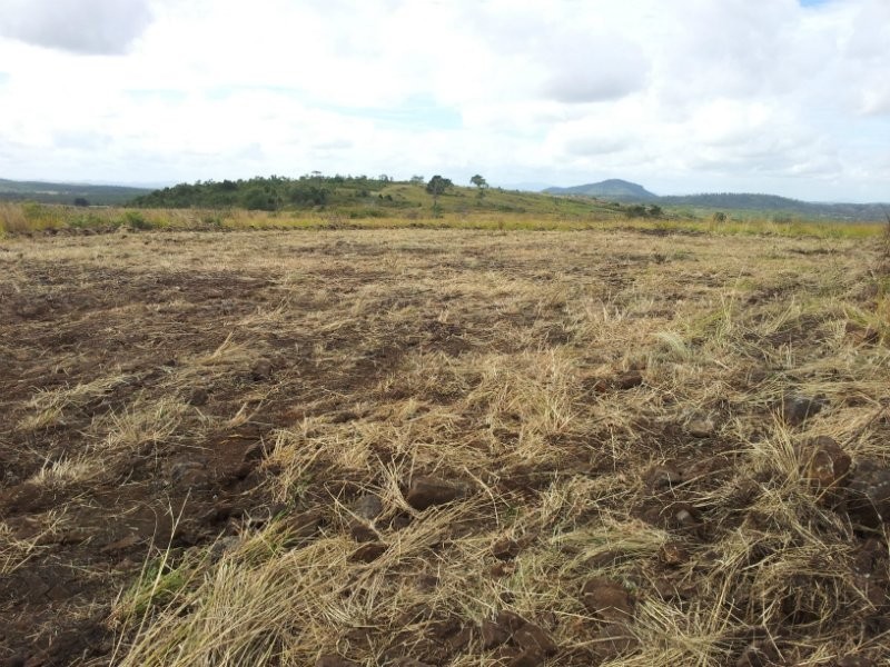 Dalma QLD 4702