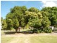 Allenstown QLD 4700