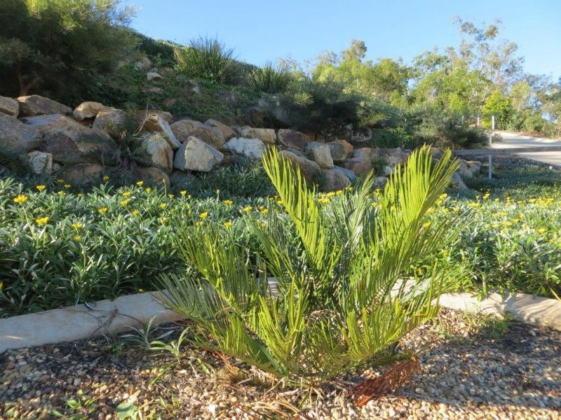 Vanderspek Place, Frenchville QLD 4701