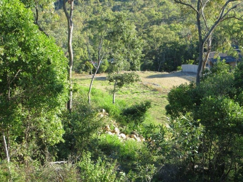 Vanderspek Place, Frenchville QLD 4701