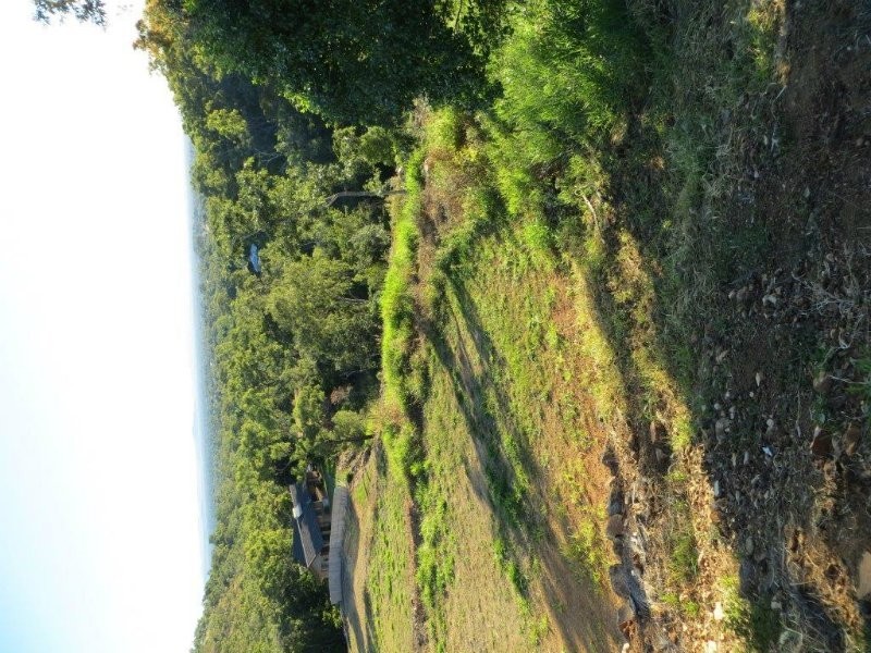 Vanderspek Place, Frenchville QLD 4701