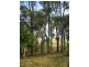 Marmor QLD 4702