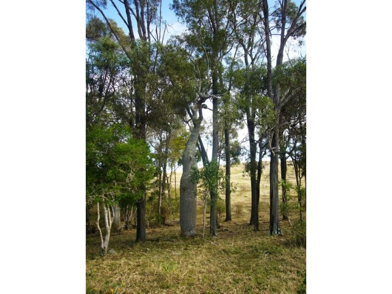 Marmor QLD 4702