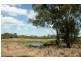 Marmor QLD 4702