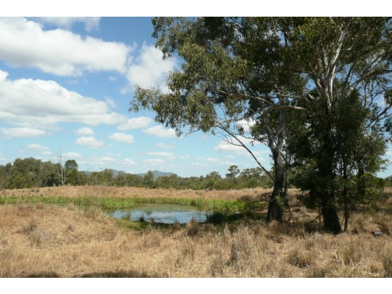Marmor QLD 4702
