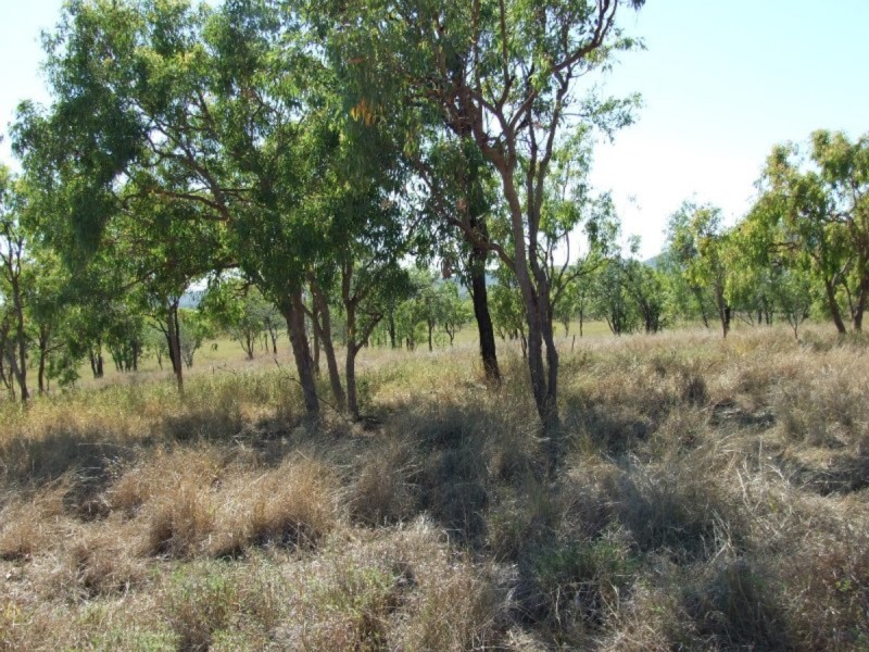 52336 Burnett Highway, Bouldercombe QLD 4702