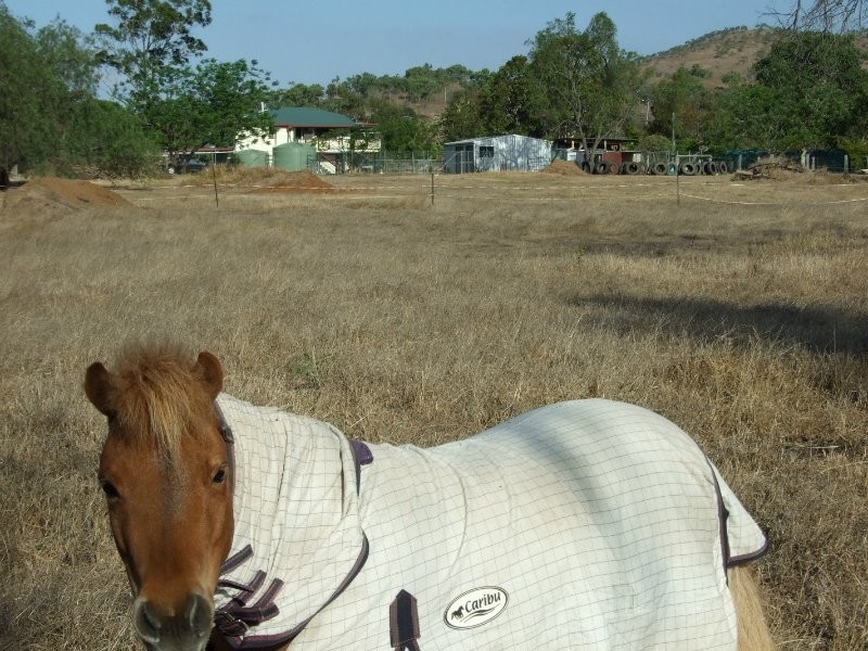 Lot 1 Slaughterhouse Road, Westwood QLD 4702