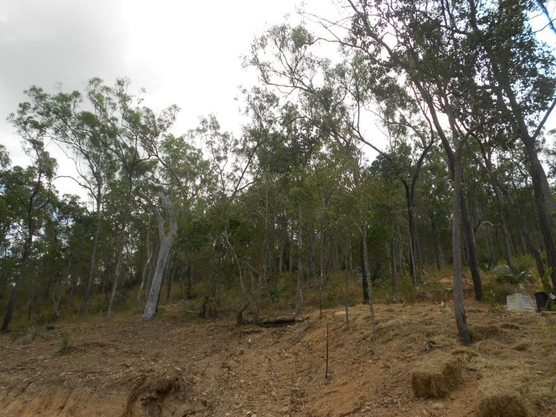 22 Frenchmans Lane, Frenchville QLD 4701