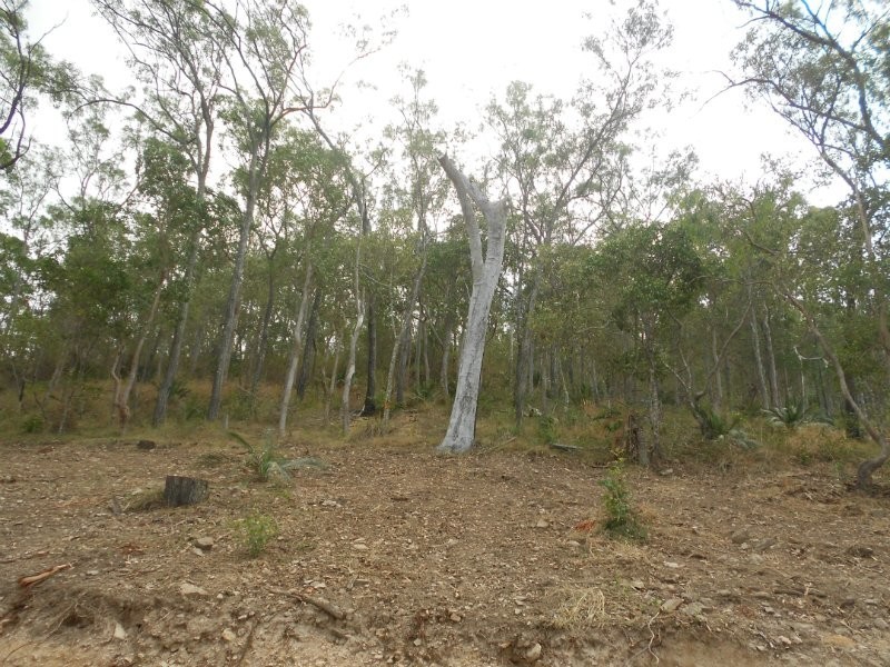 22 Frenchmans Lane, Frenchville QLD 4701