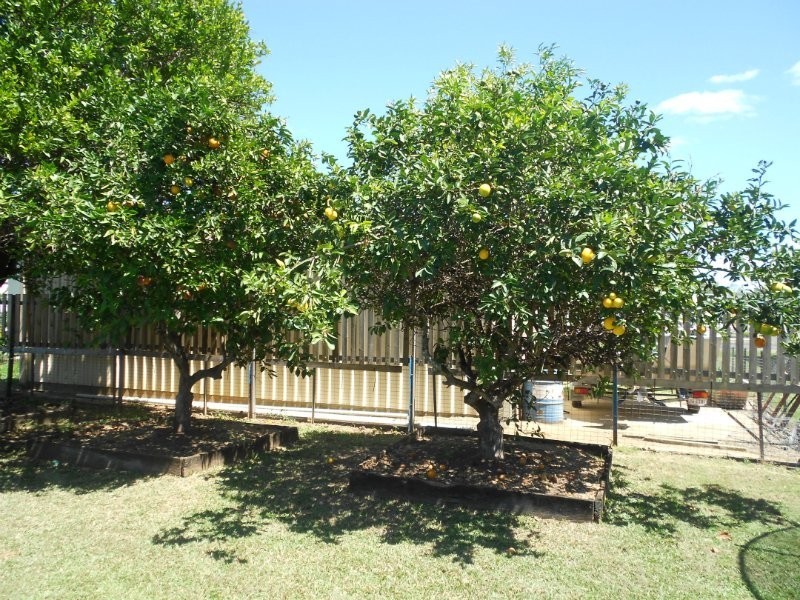 Park Avenue QLD 4701