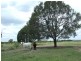 00 Durando  Wumalgi Road, St Lawrence QLD 4707