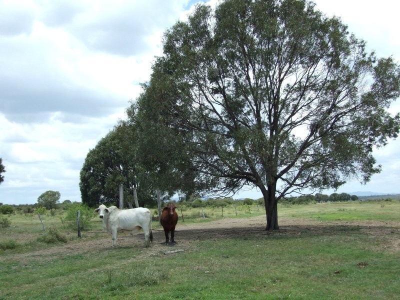 00 Durando  Wumalgi Road, St Lawrence QLD 4707