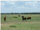 00 Durando  Wumalgi Road, St Lawrence QLD 4707