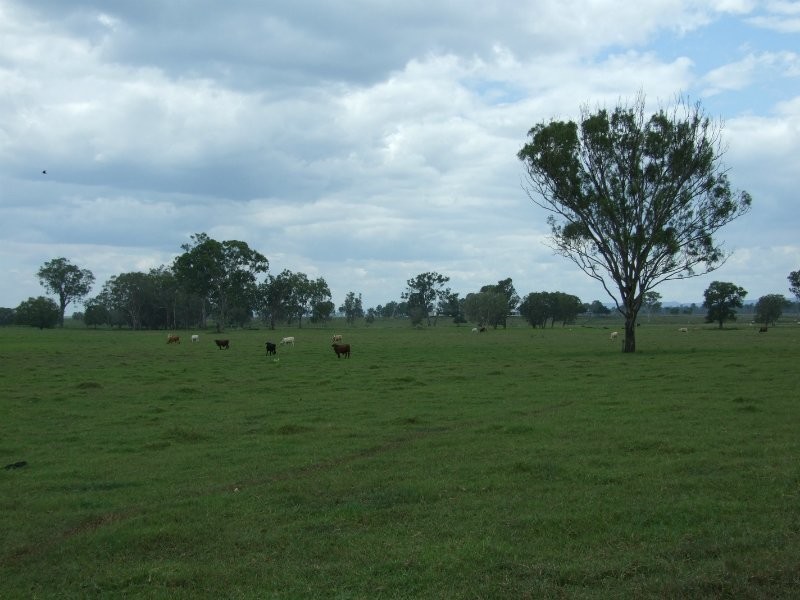 00 Durando  Wumalgi Road, St Lawrence QLD 4707