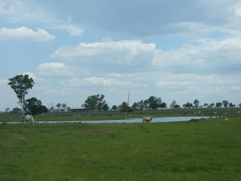 00 Durando  Wumalgi Road, St Lawrence QLD 4707