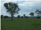 00 Durando  Wumalgi Road, St Lawrence QLD 4707