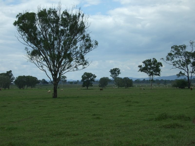 00 Durando  Wumalgi Road, St Lawrence QLD 4707