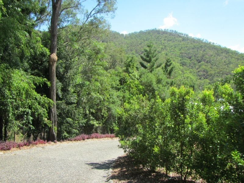 20 Frenchmans Lane, Frenchville QLD 4701