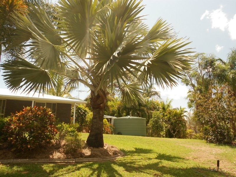 Glendale QLD 4711