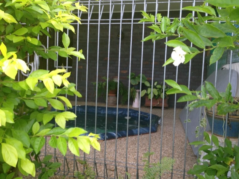 Glendale QLD 4711