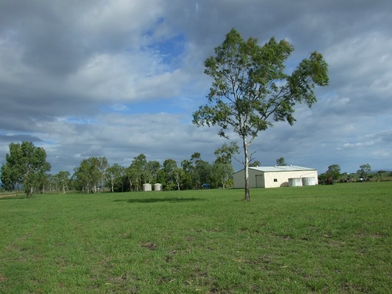 363 Reid Road, Alton Downs QLD 4702
