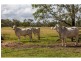 64930 Bruce Highway, Yaamba QLD 4704