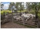 64930 Bruce Highway, Yaamba QLD 4704