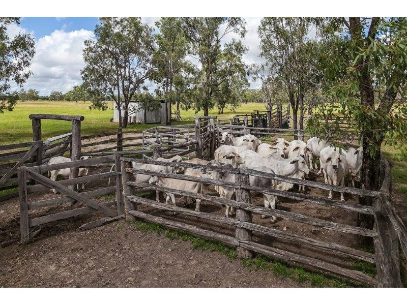 64930 Bruce Highway, Yaamba QLD 4704