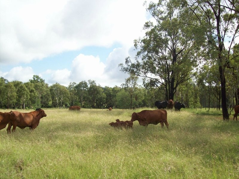 Canoona QLD 4702