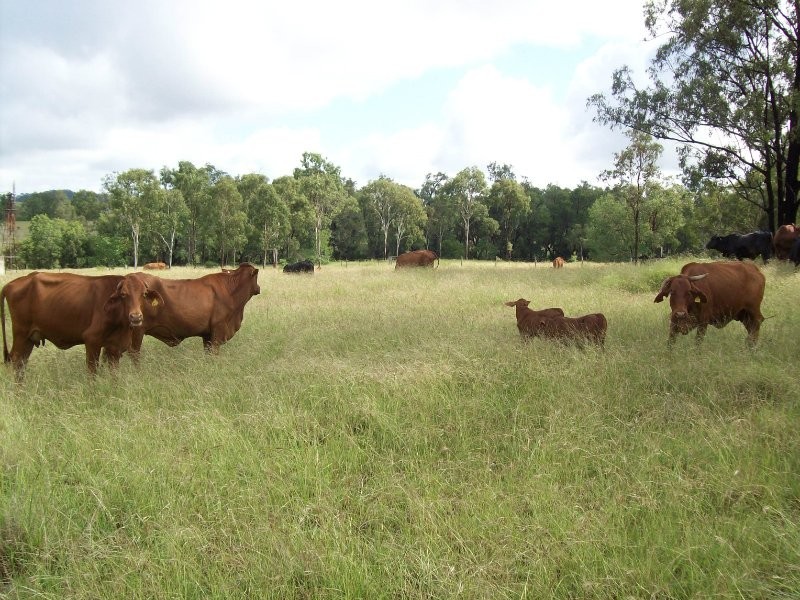 Canoona QLD 4702