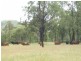 Canoona QLD 4702